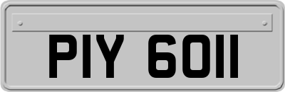 PIY6011