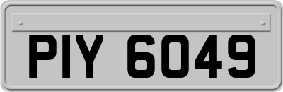 PIY6049