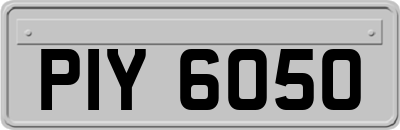 PIY6050