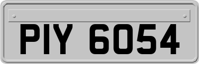 PIY6054