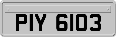 PIY6103