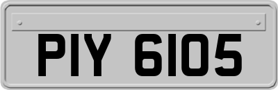 PIY6105