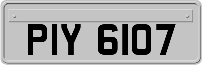 PIY6107