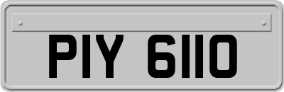 PIY6110