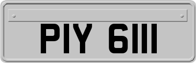 PIY6111