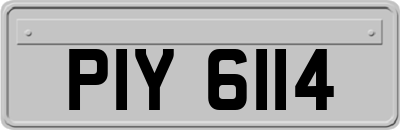 PIY6114