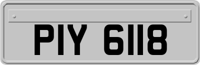 PIY6118