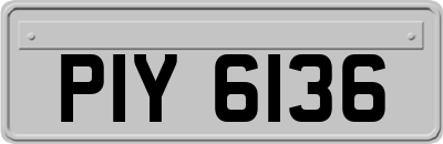 PIY6136