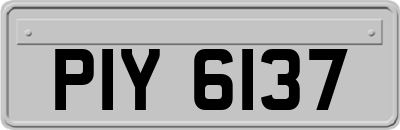 PIY6137