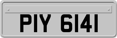 PIY6141