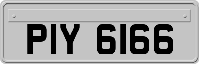 PIY6166