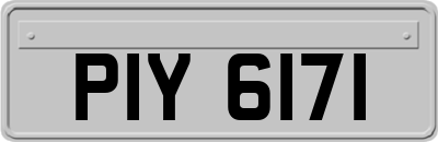 PIY6171