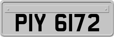 PIY6172