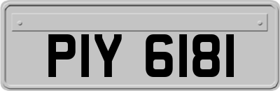 PIY6181