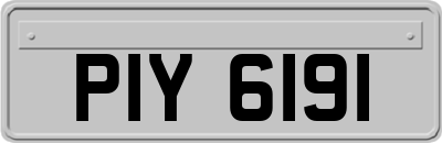 PIY6191