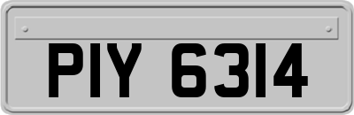 PIY6314