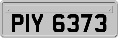 PIY6373