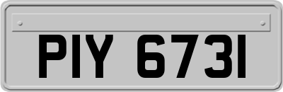 PIY6731