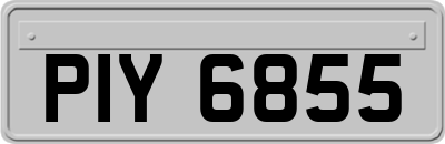 PIY6855