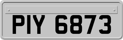 PIY6873