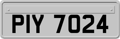 PIY7024