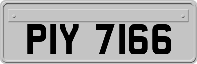 PIY7166