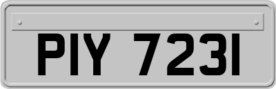 PIY7231