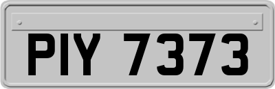 PIY7373