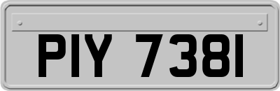 PIY7381