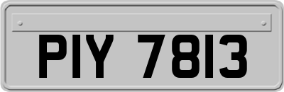 PIY7813