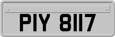 PIY8117