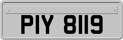 PIY8119