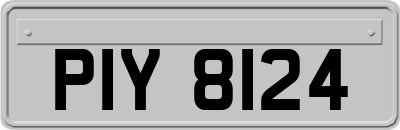 PIY8124