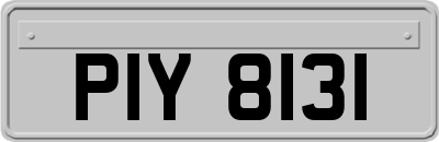 PIY8131