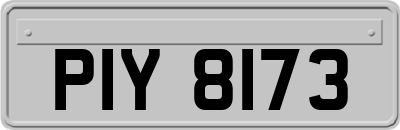 PIY8173