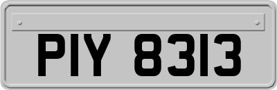 PIY8313