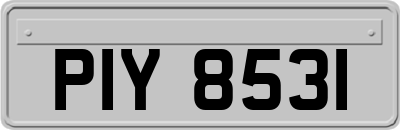 PIY8531