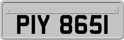 PIY8651