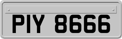 PIY8666