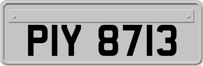 PIY8713