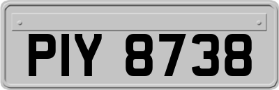 PIY8738