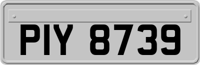 PIY8739