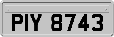 PIY8743