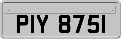 PIY8751