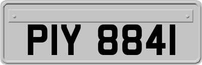 PIY8841