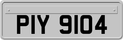 PIY9104