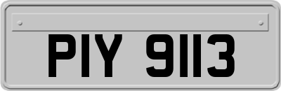 PIY9113