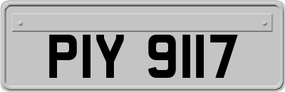 PIY9117