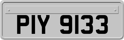 PIY9133