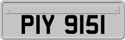 PIY9151